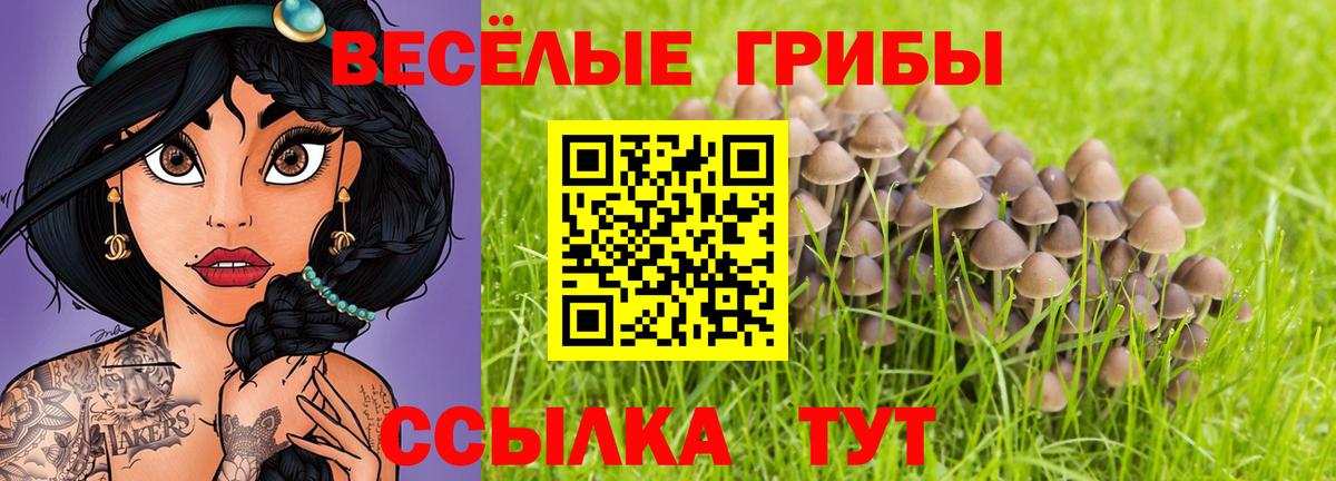 Псилоцибиновые грибы Magic Shrooms Алатырь
