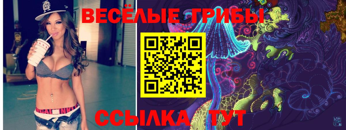 Алатырь  Галлюциногенные грибы мицелий  Вход с VPN 